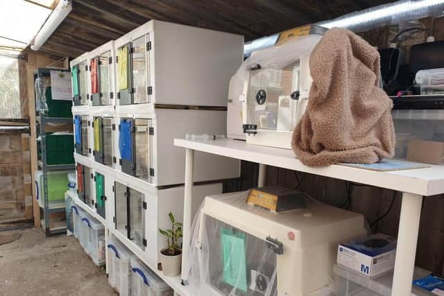 One of Holderness Hedgehog Hospital’s sites, with new professional cages.
