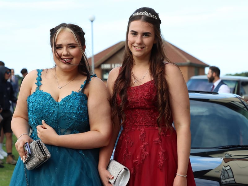 These two are looking beautiful in their contrasting colours.