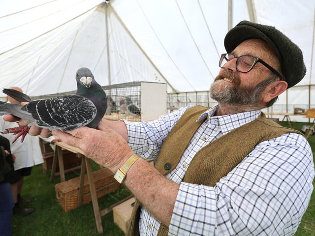 Pigeon racing with Bob Jackson.