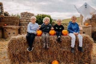 Pumpkins at Humble Bee Farm