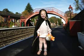 North Yorkshire Moors Railway is welcoming families with its School Holiday Savings Rate,