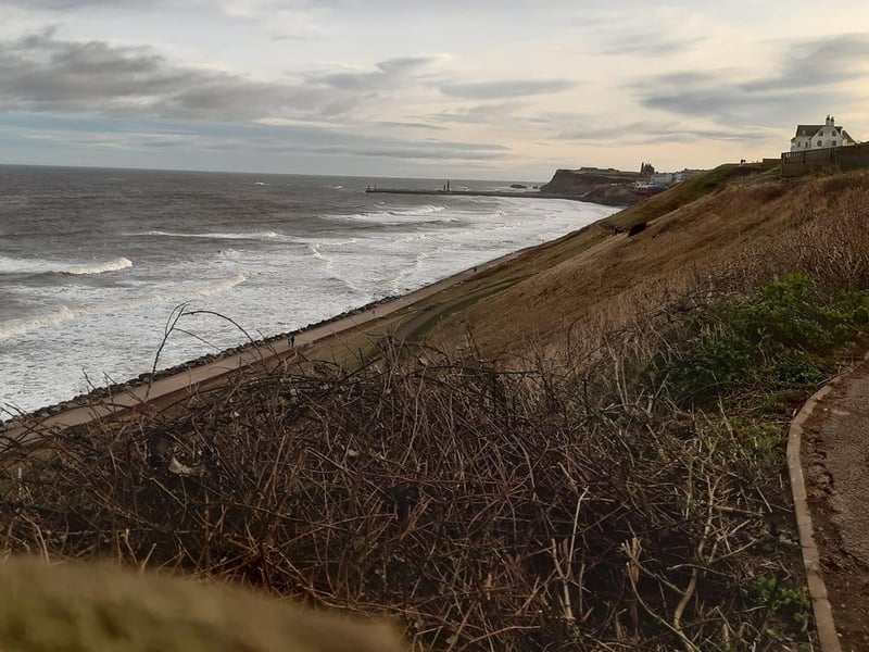 View up the coastline towards Whitby Abbey.
picture: Jennifer Glen