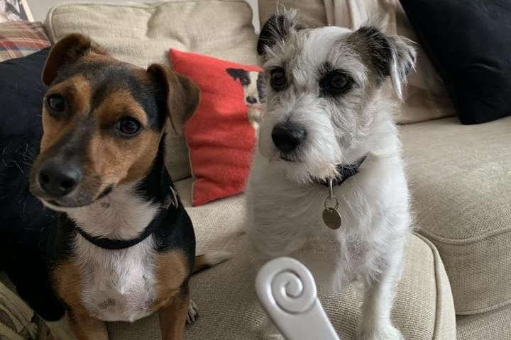 Poppy and Jess, picture submitted by Karen Swalwell.