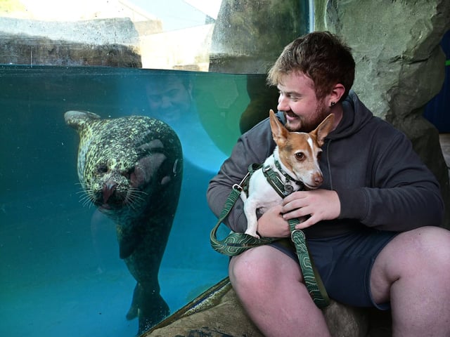 Enjoying the afternoon and meeting a seal!