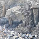 The old mine supports on the beach near Filey