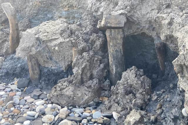 The old mine supports on the beach near Filey