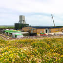 The Woodsmith Mine near Whitby