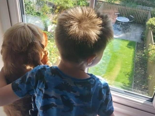 Here are Harry and Rupert, spying out of the window together.