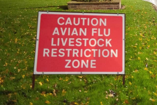 There have been outbreaks of avian flu in the Bridlington area.
