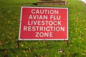 There have been outbreaks of avian flu in the Bridlington area.