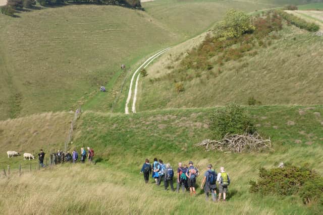 Get out and about in the Yorkshire Wolds. Photo submitted