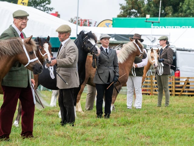 Pictured (centre) Julie Smith, holds Sardis Pascal, in Class 32, 'Welsh A in Hand' Mountain and Moorland Ponies.