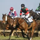 Charm Park action. Picture Richard Ponter