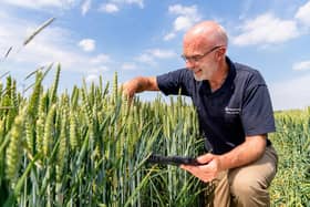 Anglo American’s multi-nutrient fertiliser product POLY4 is now organically certified in more than 30 regions globally.