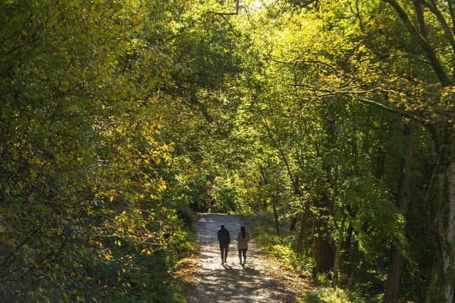Autumnal colours emerge in the woodland at Hardcastle Crags, Hebden Bridge