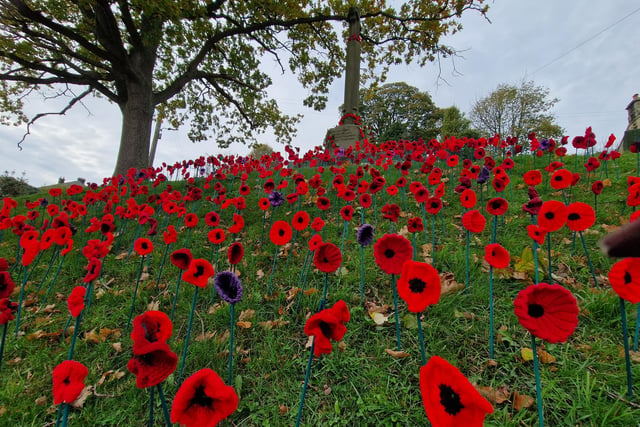 Poppies at the war memorial in Glaisdale, near Whitby.
picture: Lou Perrin