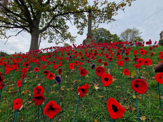 Poppies at the war memorial in Glaisdale, near Whitby.
picture: Lou Perrin