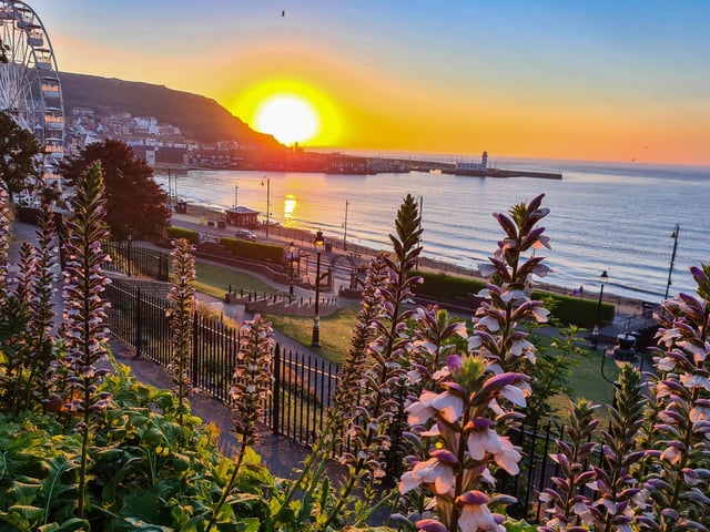 Sunset and flowers