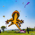 The Bridlington Kite Festival returns on Saturday, May 18 and Sunday, May 19 at Sewerby Fields. Photo: Yorkshire Post/Tony Johnson.