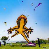 The Bridlington Kite Festival returns on Saturday, May 18 and Sunday, May 19 at Sewerby Fields. Photo: Yorkshire Post/Tony Johnson.