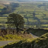 Patchwork fields above Lofthouse deep in Nidderdale near Pateley Bridge in North Yorkshire