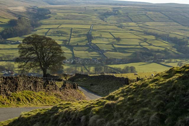 Patchwork fields above Lofthouse deep in Nidderdale near Pateley Bridge in North Yorkshire