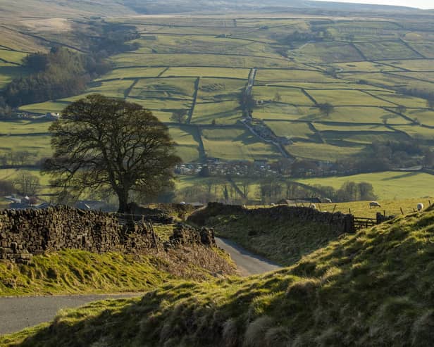 Patchwork fields above Lofthouse deep in Nidderdale near Pateley Bridge in North Yorkshire