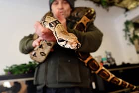 Owner Dave Bigsby with one of the bigger current residents