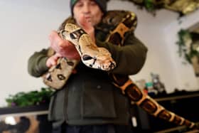 Owner Dave Bigsby with one of the bigger current residents