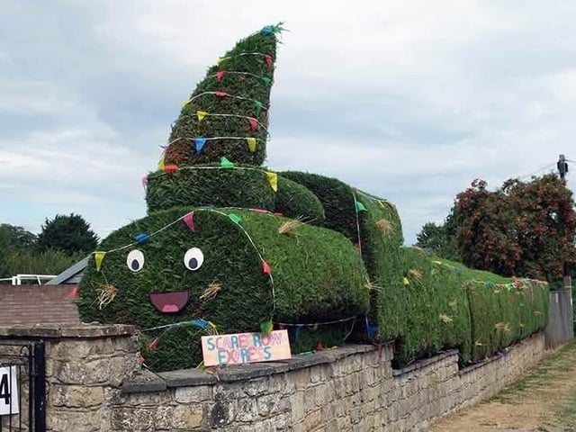 A wonderful hedge becomes the 'Scarecrow Express'.
