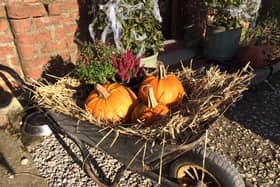 Award-winning glamping site Humble Bee Farm will be open to the public for its annual half term Pumpkin Patch and Halloween trail