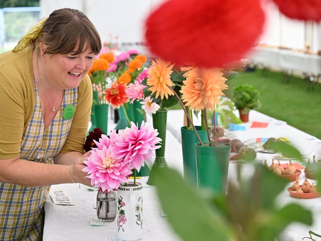 Clair Stevenson views the flowers.