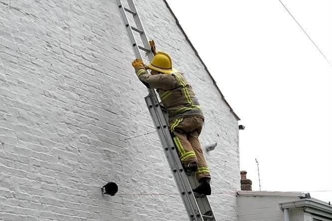 A firefighter to the rescue!