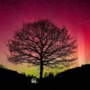Brilliant photo of the Northern Lights above Dalby Forest, captured by Astro Dog.