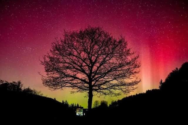 Brilliant photo of the Northern Lights above Dalby Forest, captured by Astro Dog.