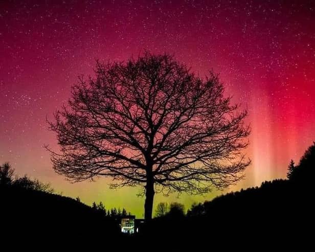 Brilliant photo of the Northern Lights above Dalby Forest, captured by Astro Dog.