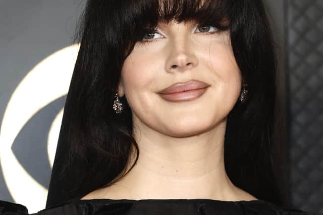 Lana Del Rey (Photo by Frazer Harrison/Getty Images)