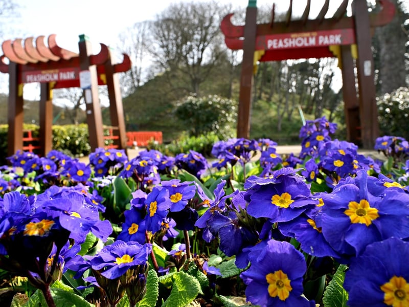 Flowers looking lovely outside Peasholm Park.