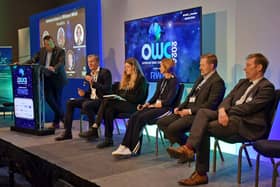 Panellists atthe 2024 Offshore Wind Connections conference