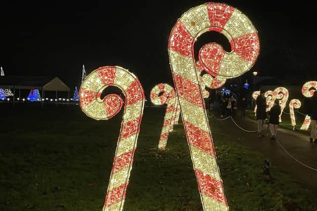 Candy Cane Lane was a fabulous way to start the trail.