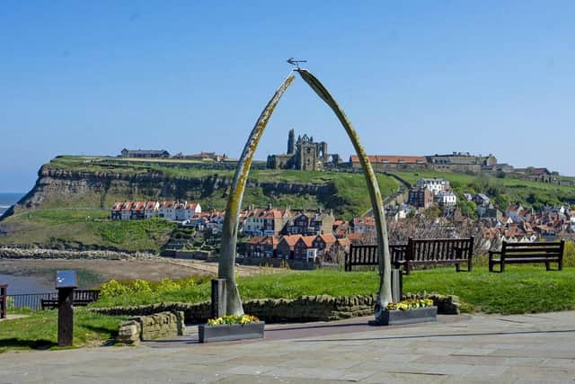 A row has erupted between wildlife charities and a council over its bid to replace its world famous whale bone arch