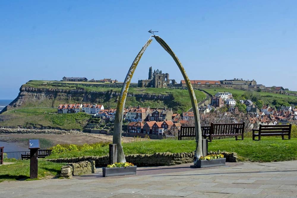 A row has erupted between wildlife charities and a council over its bid to replace its world famous whale bone arch