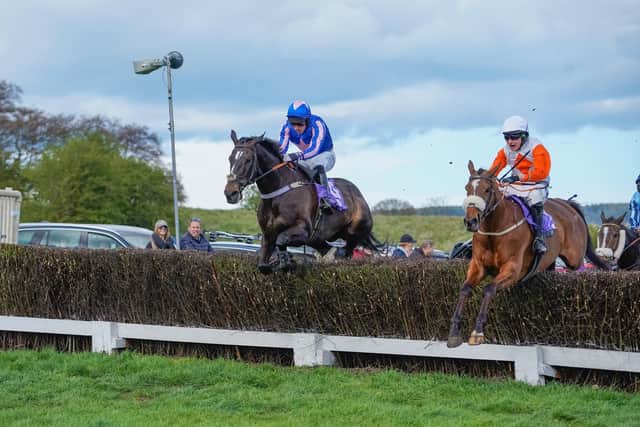 Line Em Up won the Broadlands Properties Conditions at Charm Park's second Scarborough Races meeting on Saturday. Photo by Tom Milburn Photography