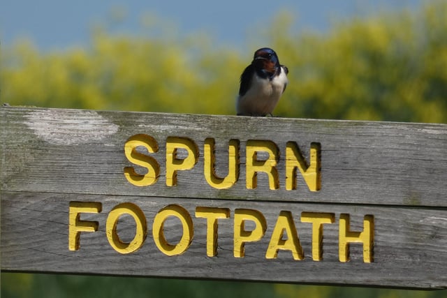 Take a Spurn Safari tour across the unique landscape at Spurn point aboard a specially adapted ex-military, 4x4 truck called the Unimog. On a three-hour guided tour, you'll hear tales of the peninsula’s fascinating military and maritime history, expertly told by guides and spot some wildlife. The trip also includes a visit to the top of northern England’s tallest lighthouse. Tickets cost £25 (Adult) / £15 (Child) Tour but is not suitable for children under four years of age.