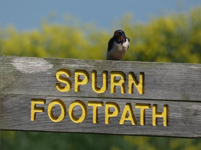 Take a Spurn Safari tour across the unique landscape at Spurn point aboard a specially adapted ex-military, 4x4 truck called the Unimog. On a three-hour guided tour, you'll hear tales of the peninsula’s fascinating military and maritime history, expertly told by guides and spot some wildlife. The trip also includes a visit to the top of northern England’s tallest lighthouse. Tickets cost £25 (Adult) / £15 (Child) Tour but is not suitable for children under four years of age.