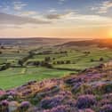Little Fryup Dale.
picture by Paul Kent.