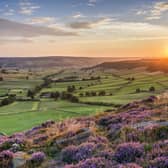 Little Fryup Dale.
picture by Paul Kent.