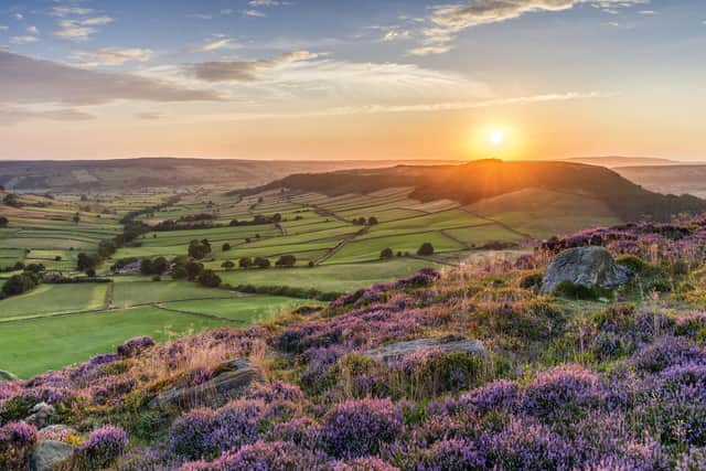 Little Fryup Dale.
picture by Paul Kent.