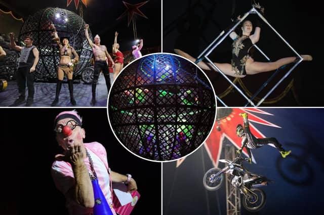 Check out the photos below!