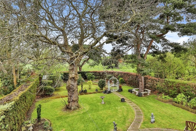 A stunning enclosed garden, with mature trees, shrubs and plants.